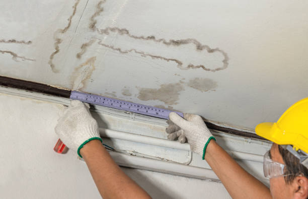 Reliable Water Damage contractor in Morrisonville, WI by Water Damage Irwin
